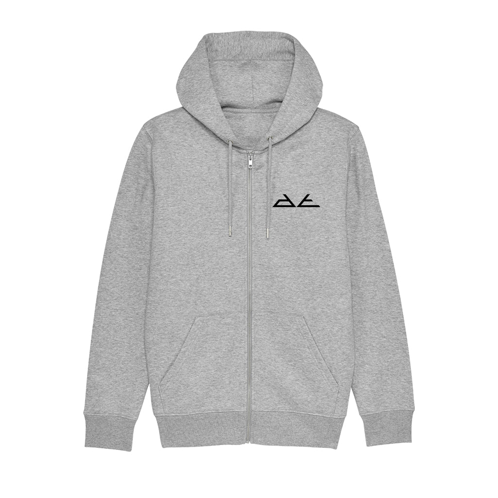 Ae best sale iconic hoodie