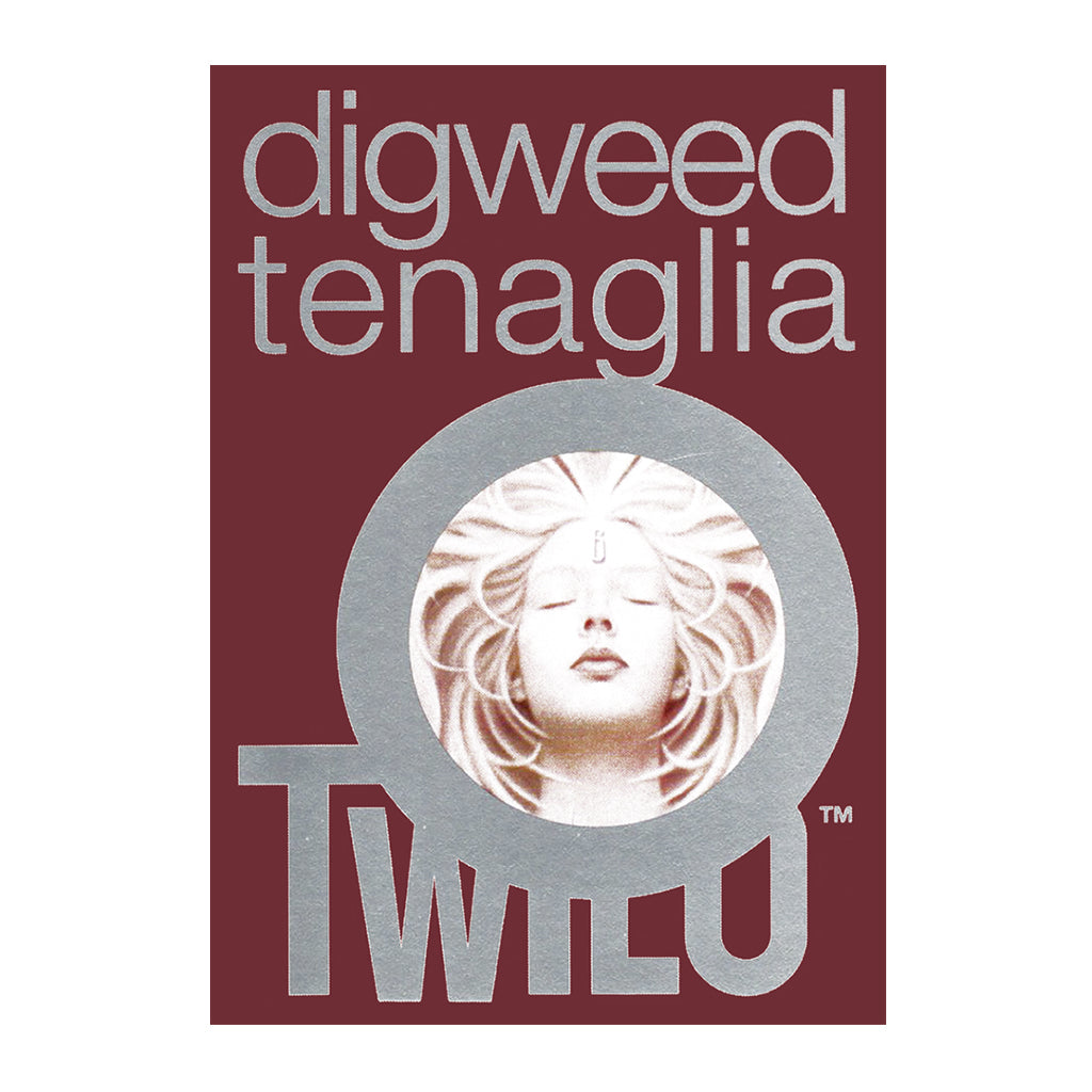 John Digweed And Danny Tenaglia At Twilo A3 Framed Print-Danny Tenaglia Store